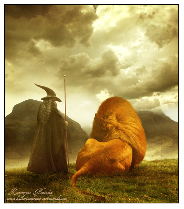 Gandalf and Aslan