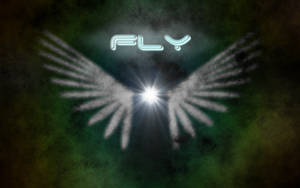 Fly -high quality version-