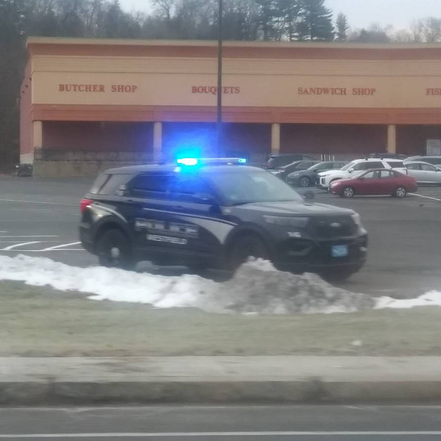 2021 Ford Explorer Police Interceptor Utility #16. by ladybird413 on ...