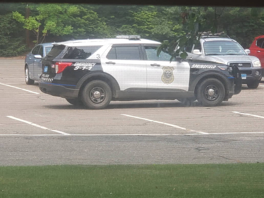 2021 Ford Explorer Police Interceptor Utility #3. by ladybird413 on ...