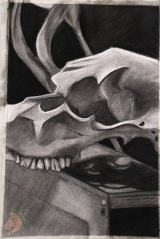 Charcoal Skull