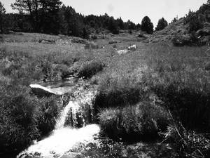 mountain stream