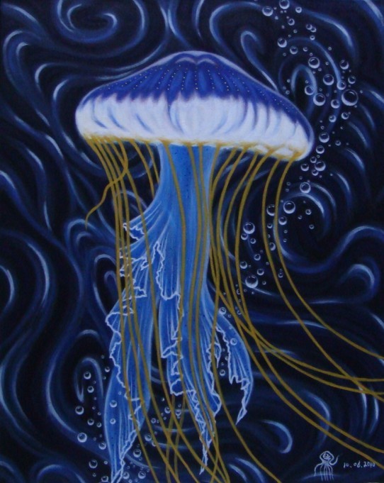 Jelly fish