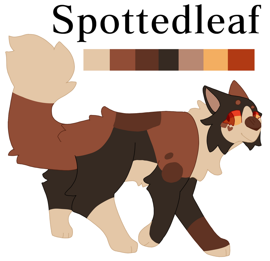 Spotledleaf Spottedleaf by Silvieq on DeviantArt