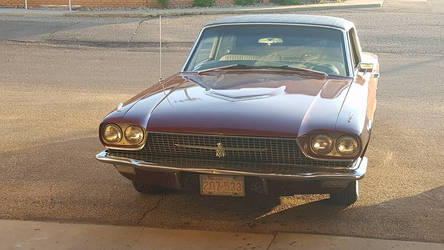 my 1966 ford thunder bird