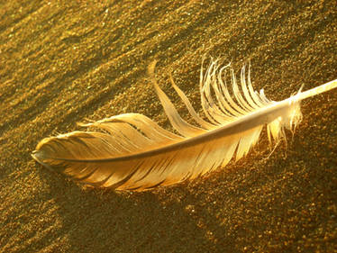 Feather