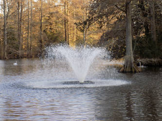 Water Fountain