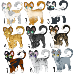 Cat adopts (3/9 OPEN)