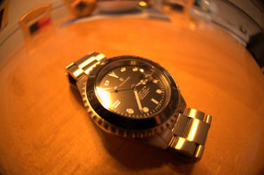 Steinhart Ocean One