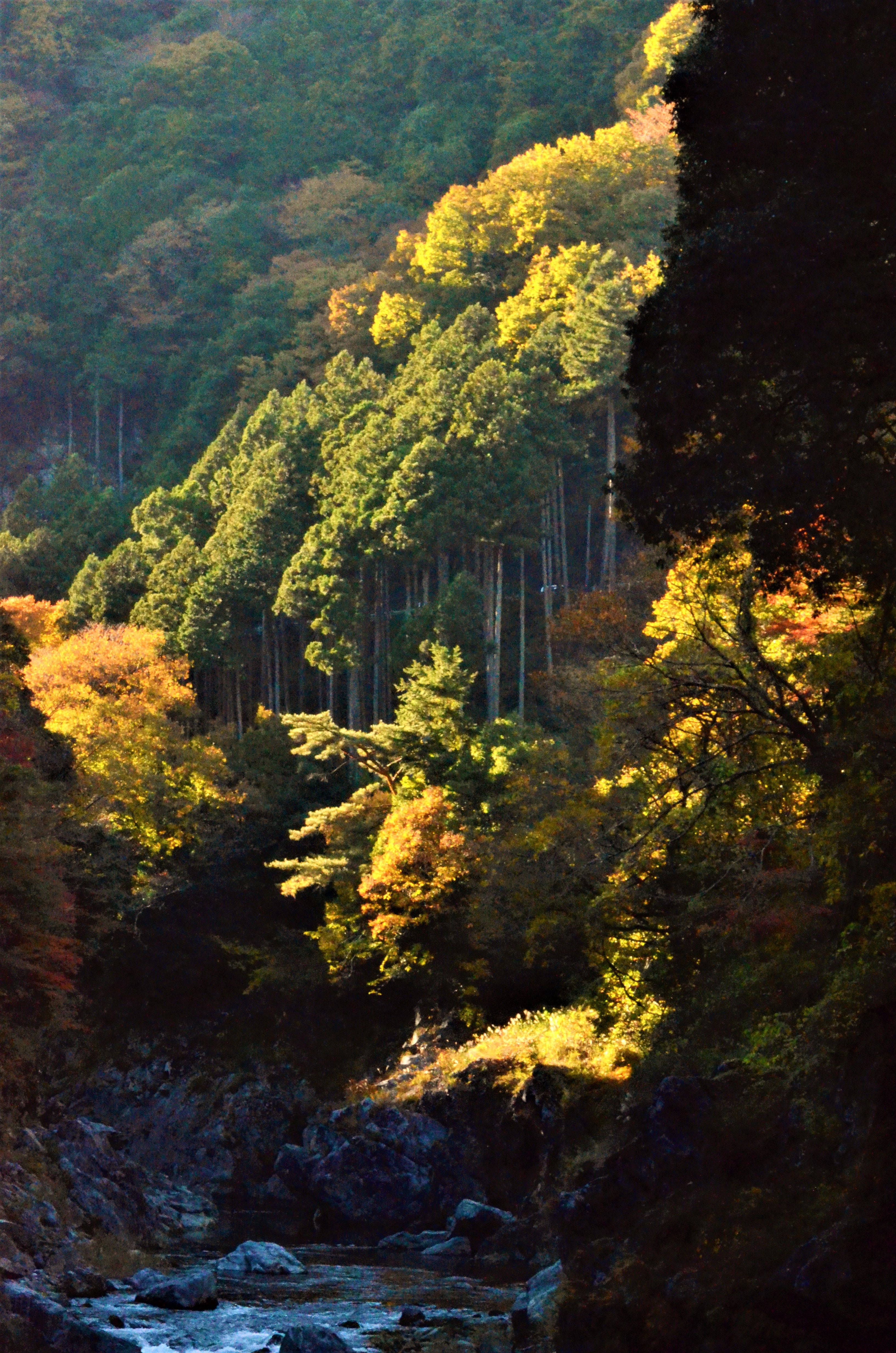 Hatonosu gorge 1