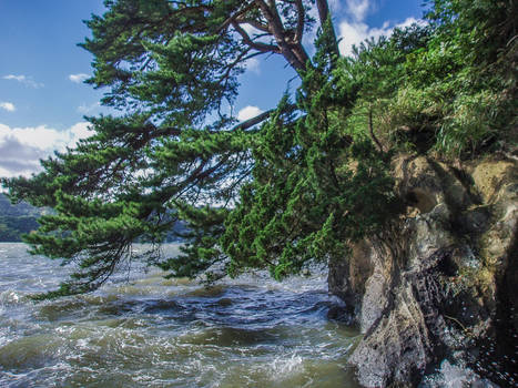 Matsushima at sea level