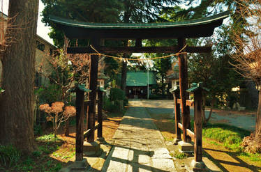 A small Shrine near my home