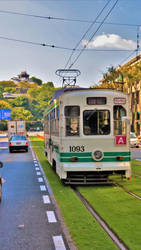 Tram and Castle in Kumamoto