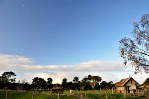 Suburb of Melbourne