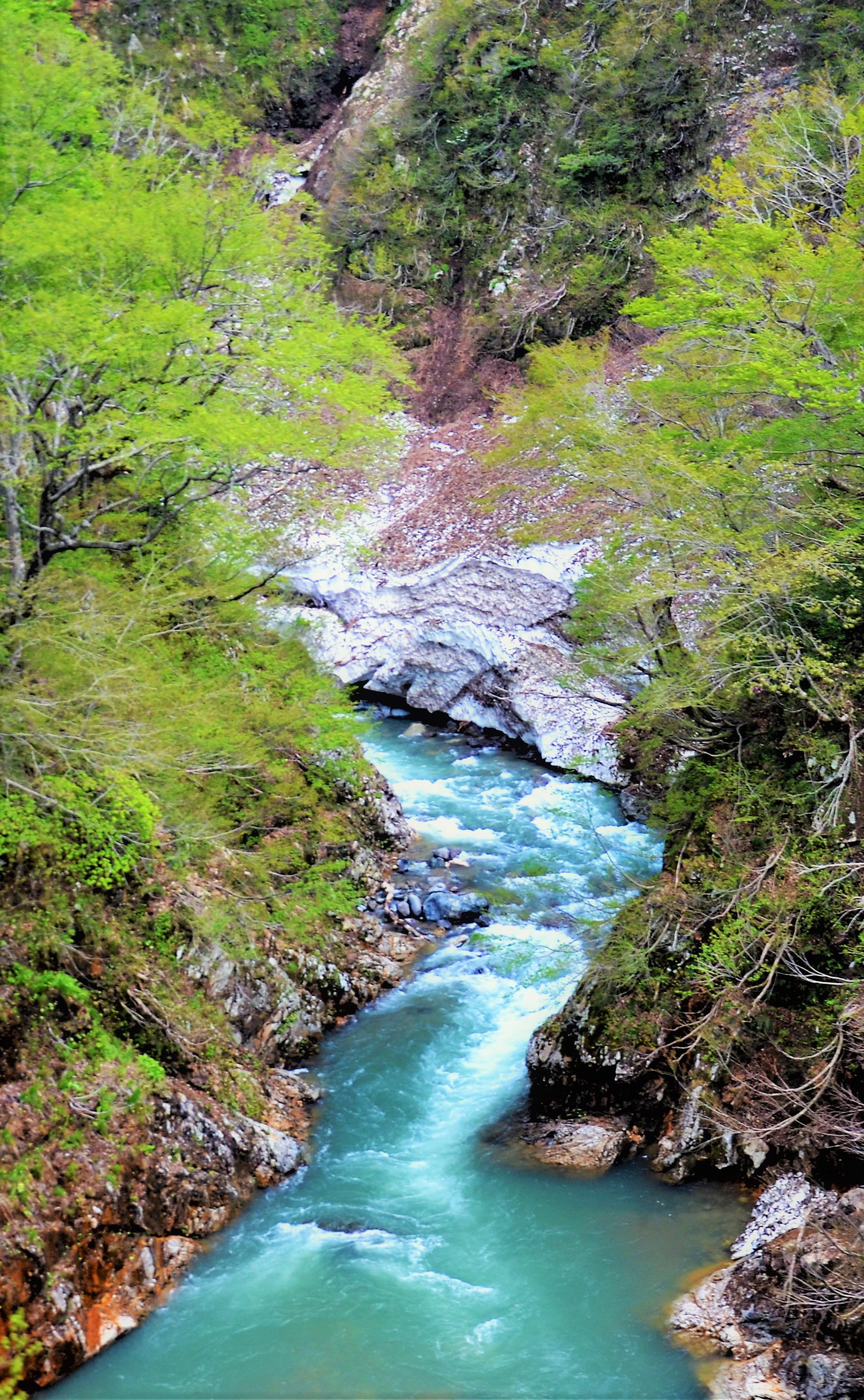 Stream in Early Spring