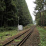 Railway track in forest