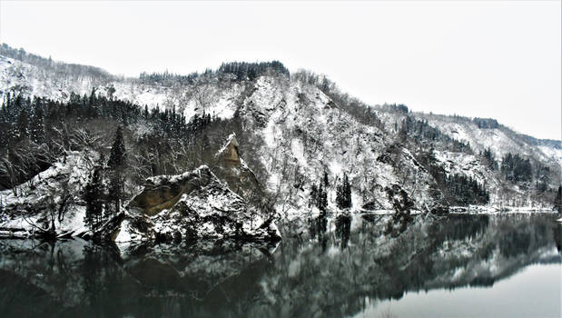 Snowy river coast