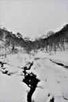 Snowy creek by Furuhashi335