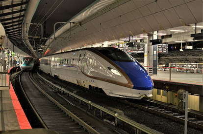 Tokyo Terminus at Night