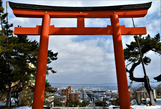 Hakodate city from Torii