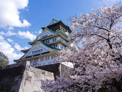 Osaka Castle with Sakura