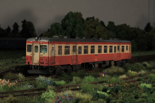 1/80 model of Kiha 21 DMU