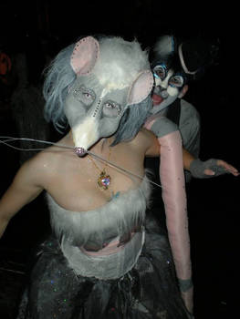 Masquerade Rat and Cat