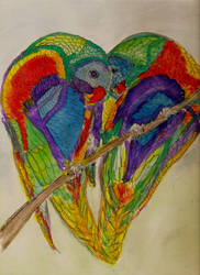 Colorful lovebirds