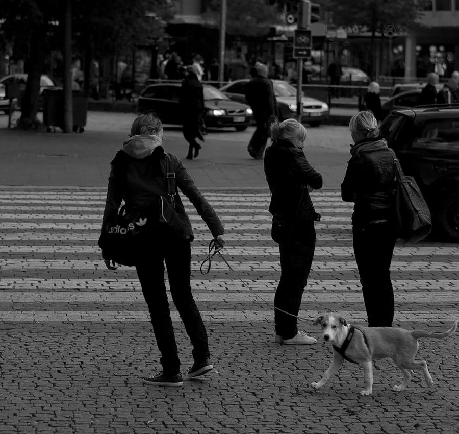 Smile Wait Wait... smile for the photo by ponchomorales on DeviantArt