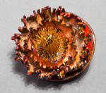 Bramble Brooch by matthewtmauk