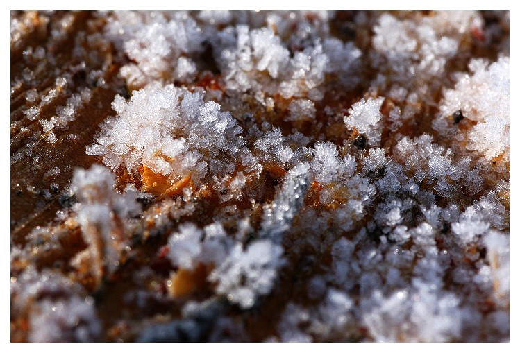 Snow on the wood