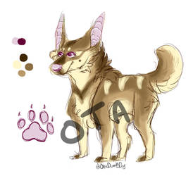 OTA Canine 2