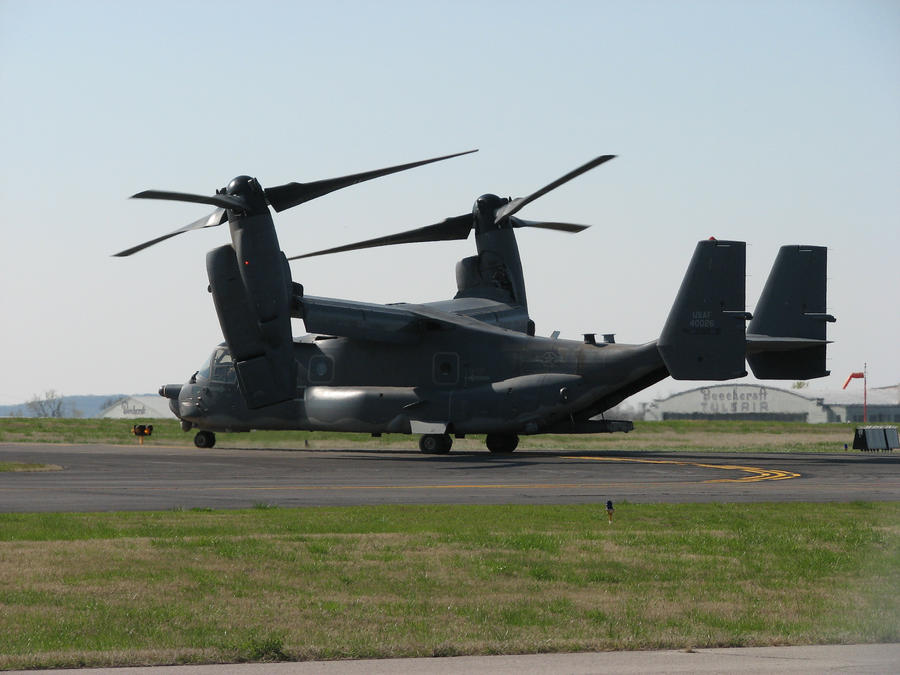 Osprey