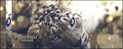 Leopardo