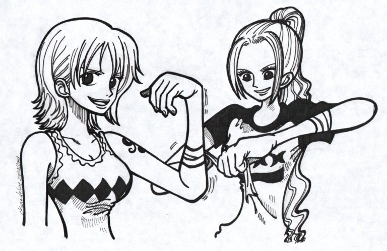 One Piece - Nami and Bibi