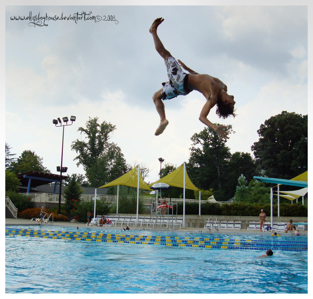 Newbie Gainer By Ellysdoghouse On Deviantart Newbie Gainer By Ellysdoghouse On Deviantart