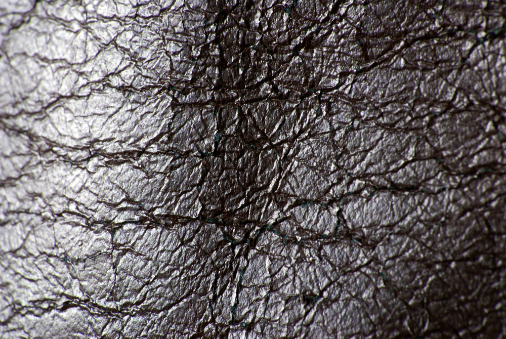 Texture: Leather by Argimorus