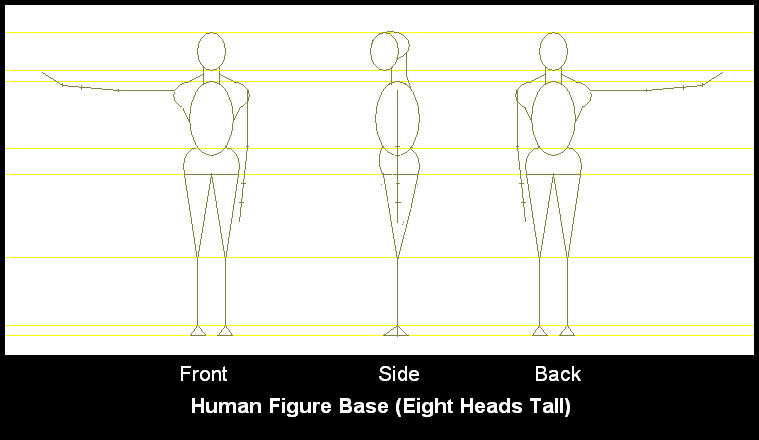 Human Figure Base by Yarbro on DeviantArt