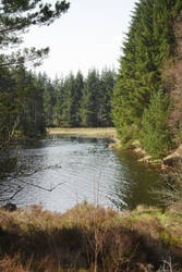 kielder