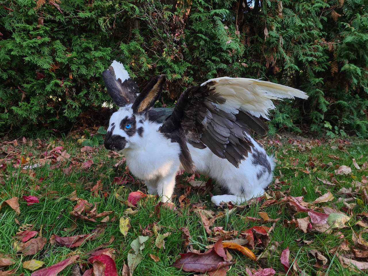 Winged rabbit soft mount by ThylaArt on DeviantArt