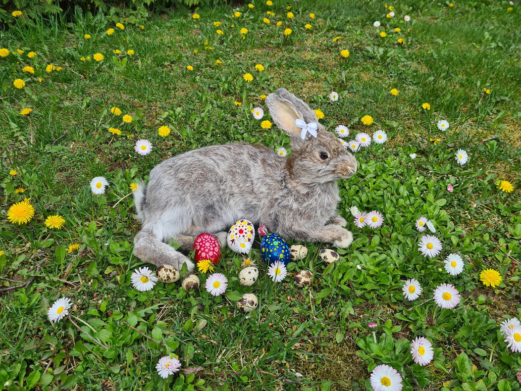 Easter Mount Easter bunny soft mount by ThylaArt on DeviantArt