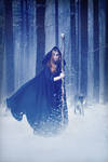 The night witch by Pyro911