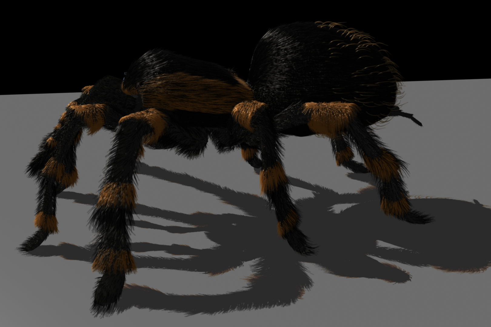 Tarantula Deviantart Tarantula Model 2 by ChozoBoy on DeviantArt