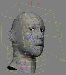 Head and Eye Rig