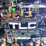 WWE TLC 2009 Custom Poster