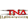 TNA Slammiversary 2005 Logo