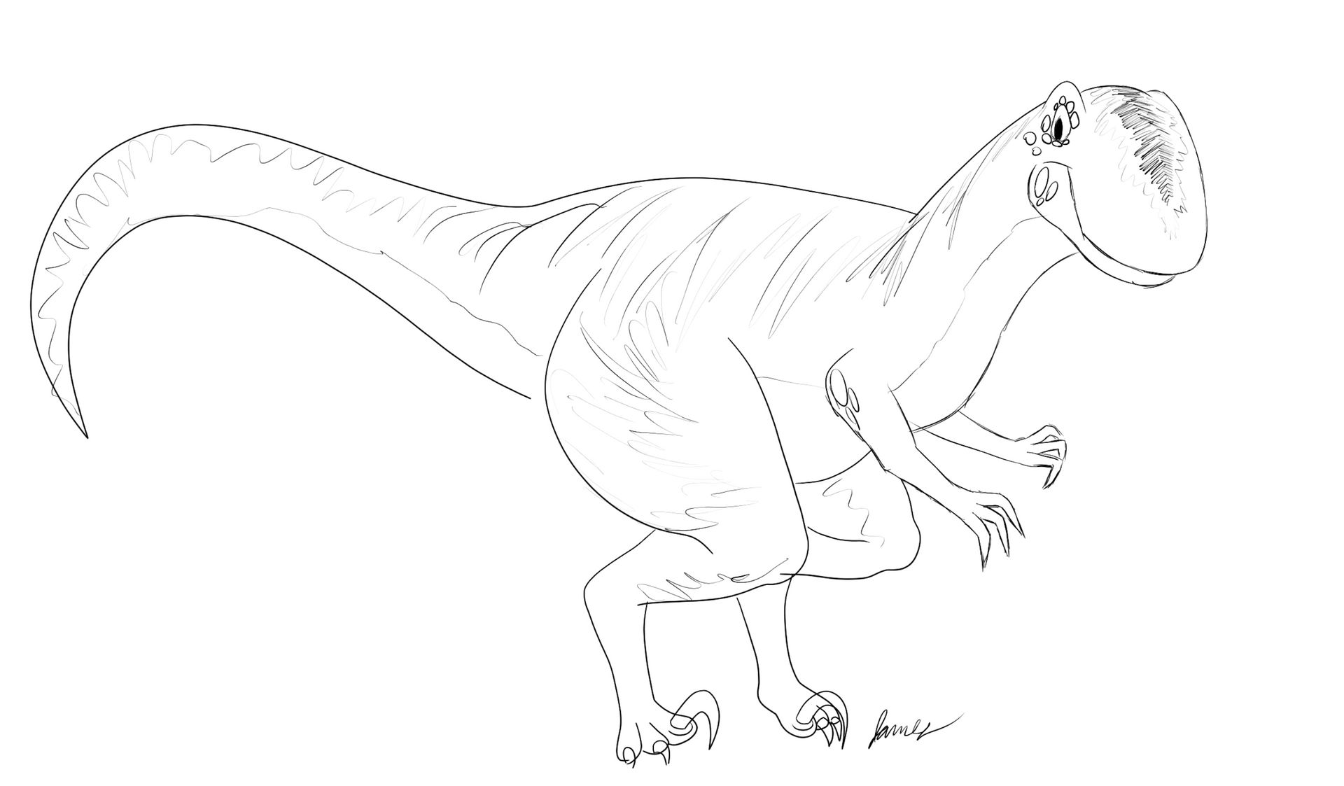 Raptor sketch by Terra0719 on DeviantArt