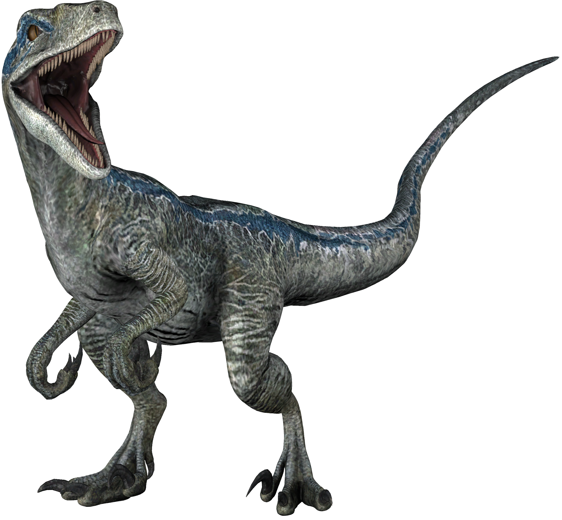Sfm Jurassic World Blue Transparent By Lukiethewesley13 On Deviantart Sfm Jurassic World Blue Transparent By Lukiethewesley13 On Deviantart