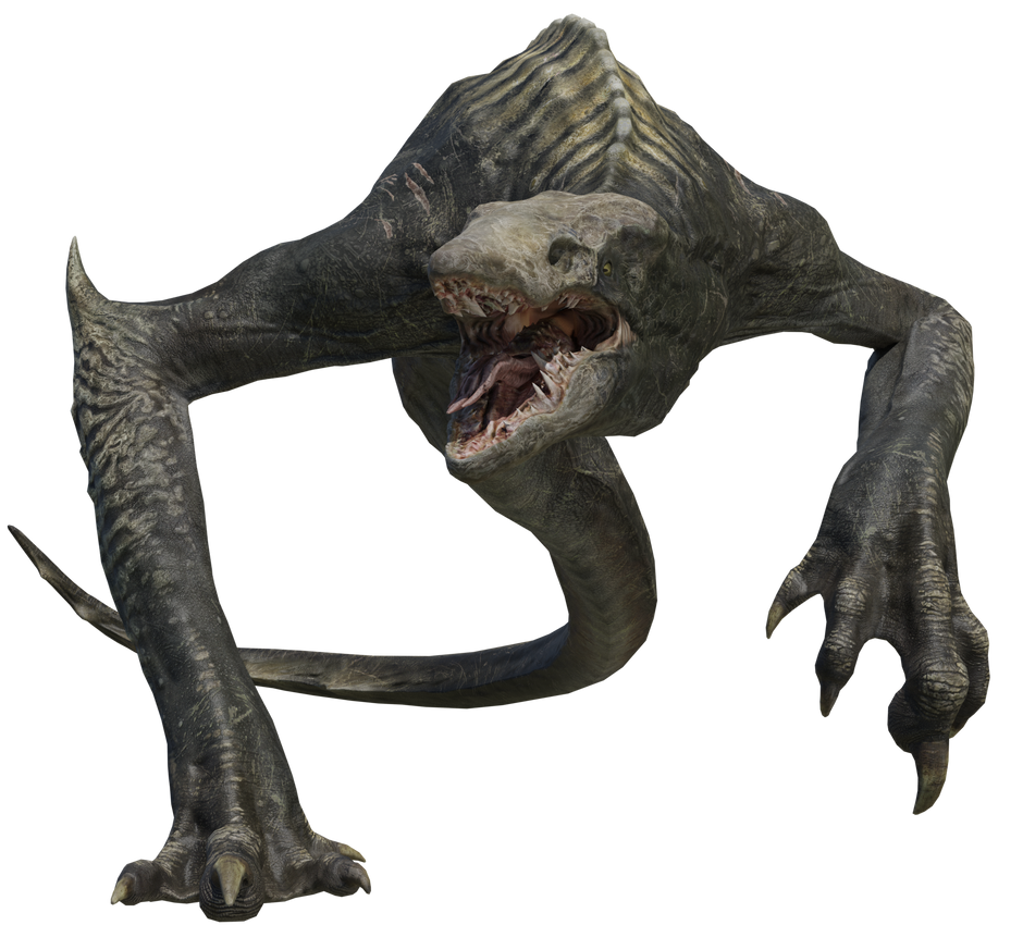 Kong skull online island skull crawler