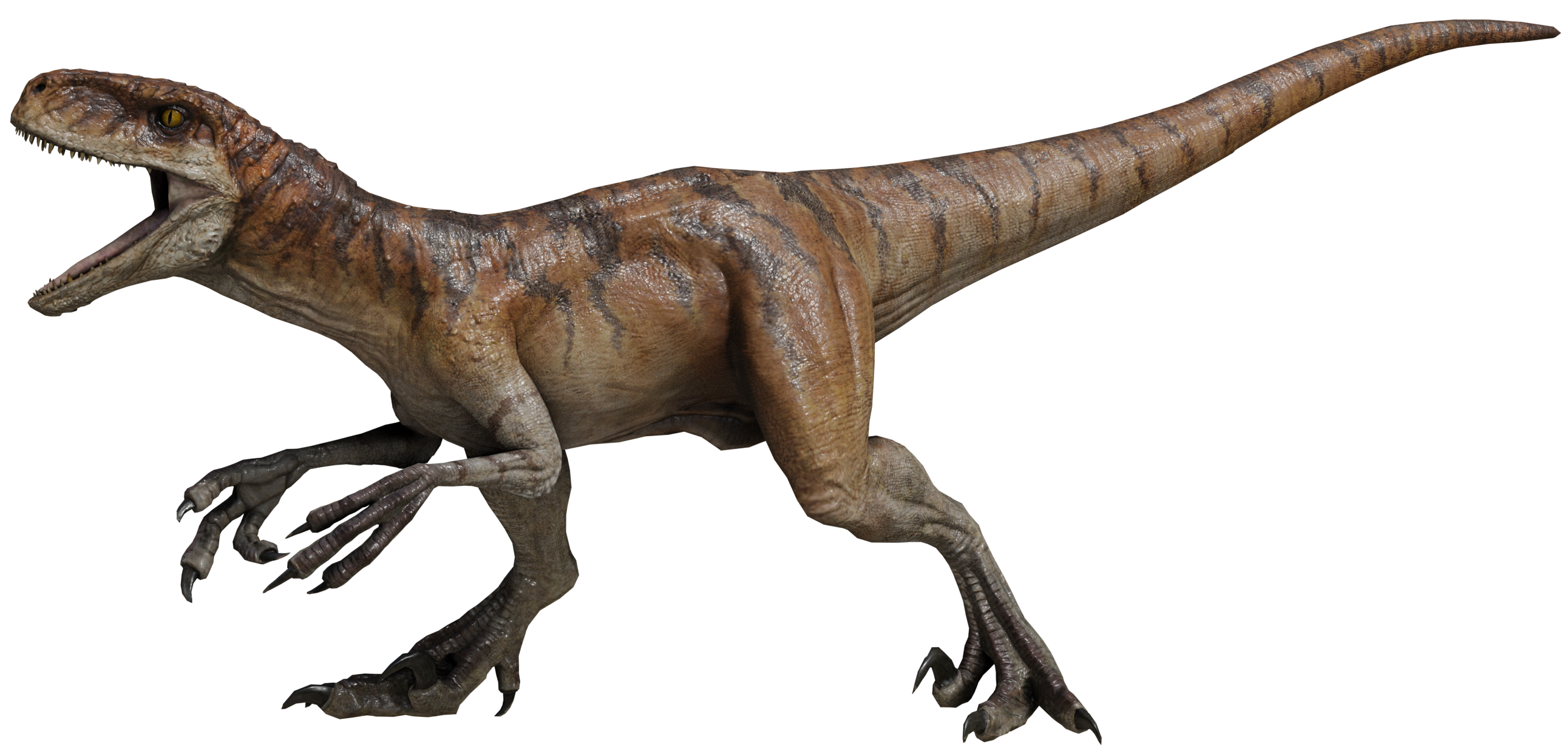 Jurassic World Dominion Atrociraptor Tiger By Lukiethewesley13 On jurassic-world-dominion-atrociraptor-tiger-by-lukiethewesley13-on